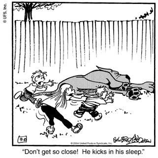 marmaduke